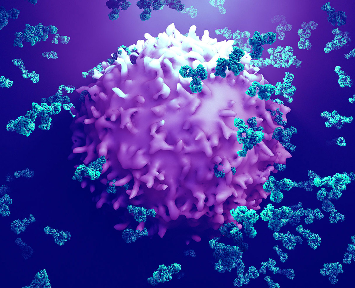 Immun Pathologie Düren